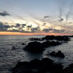 真冬の南房総、昭和のリゾート・白浜へ小旅行