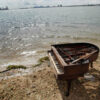 マイアミの砂州に謎のグランドピアノ