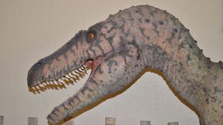 恐竜・歯