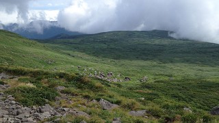 月山の山の上