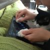 鍵盤ねことタブレットPC