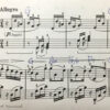 ベートーヴェン「ピアノソナタ ト長調 op.14-2」