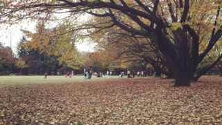 所沢航空記念公園