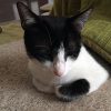 Thumbnail of related posts 155