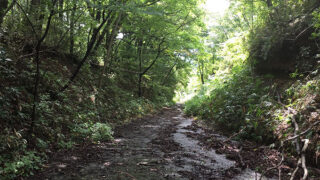 雨上がりの山道