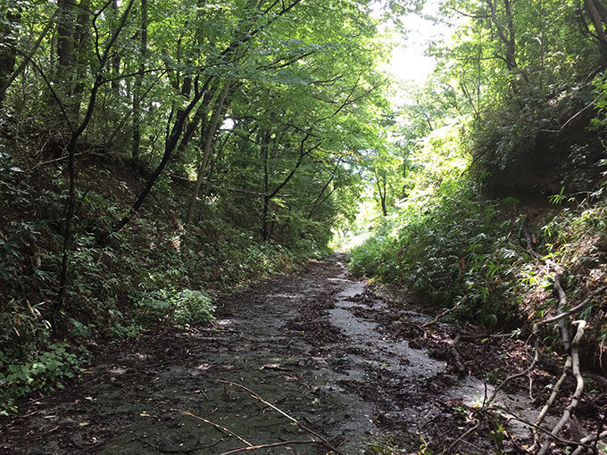 雨上がりの山道