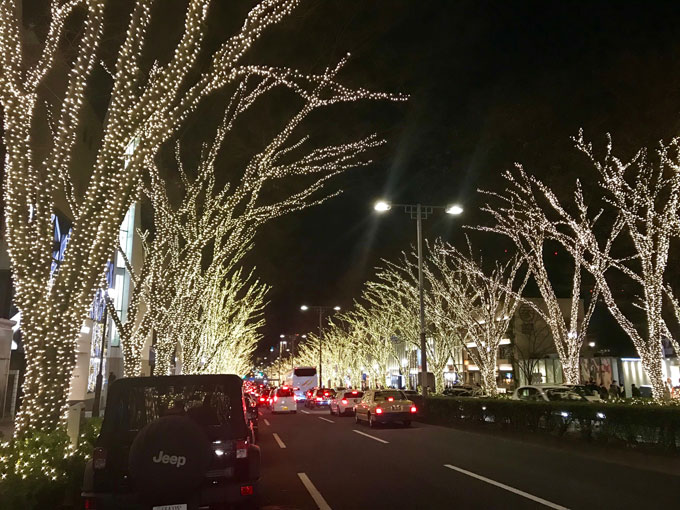 表参道のイルミネーション