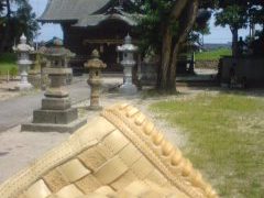 神社でキャッチボール