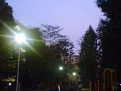 歯医者帰りの公園